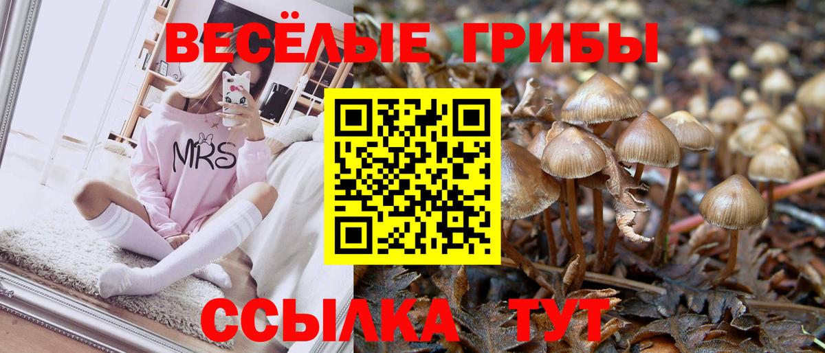 Елец  Псилоцибиновые грибы Psilocybe  Вход с VPN  Галлюциногенные грибы мухоморы 